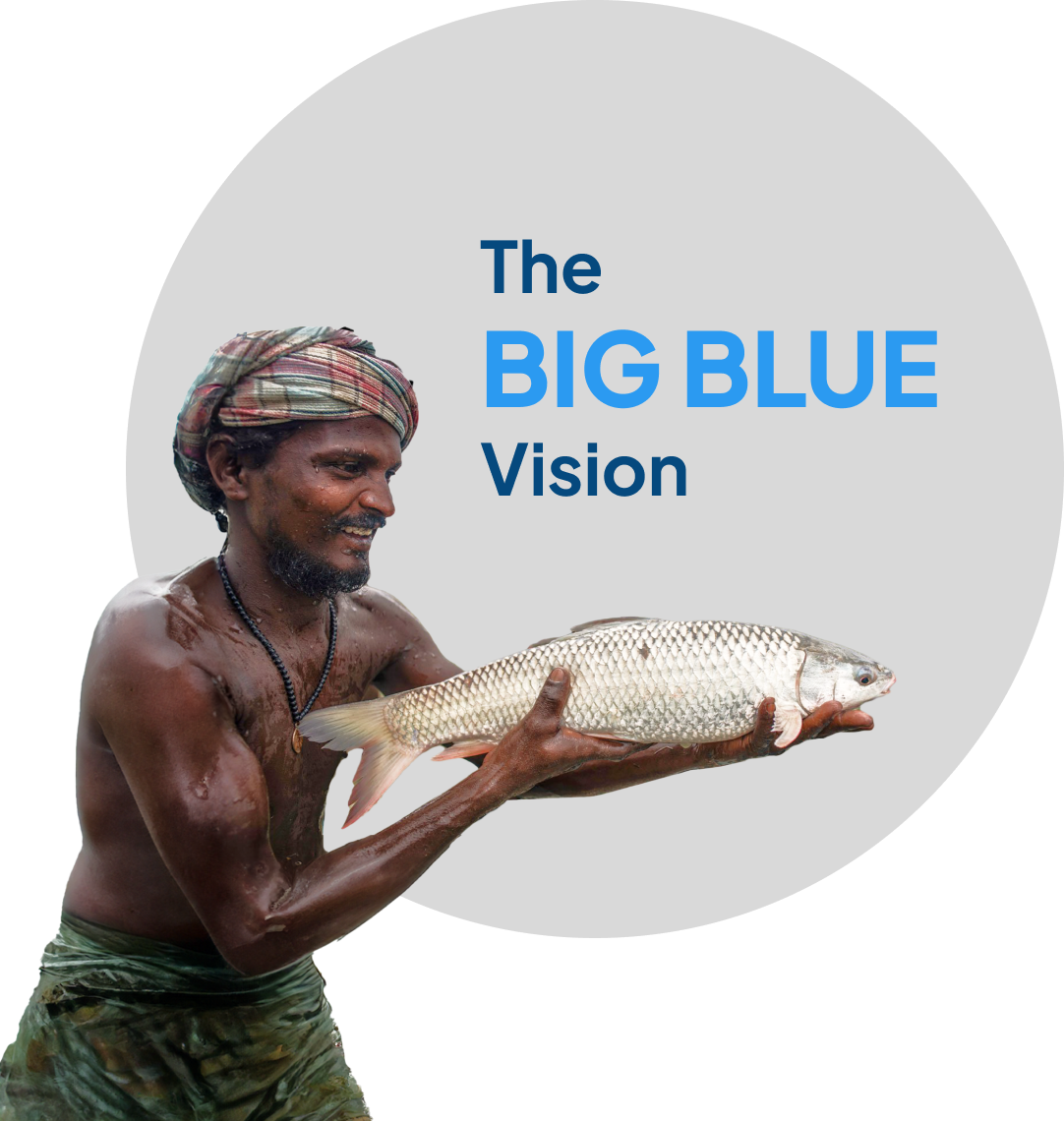 The big Blue vision